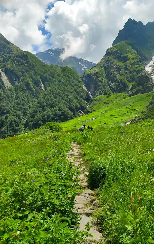 Valley of Flowers Trek   